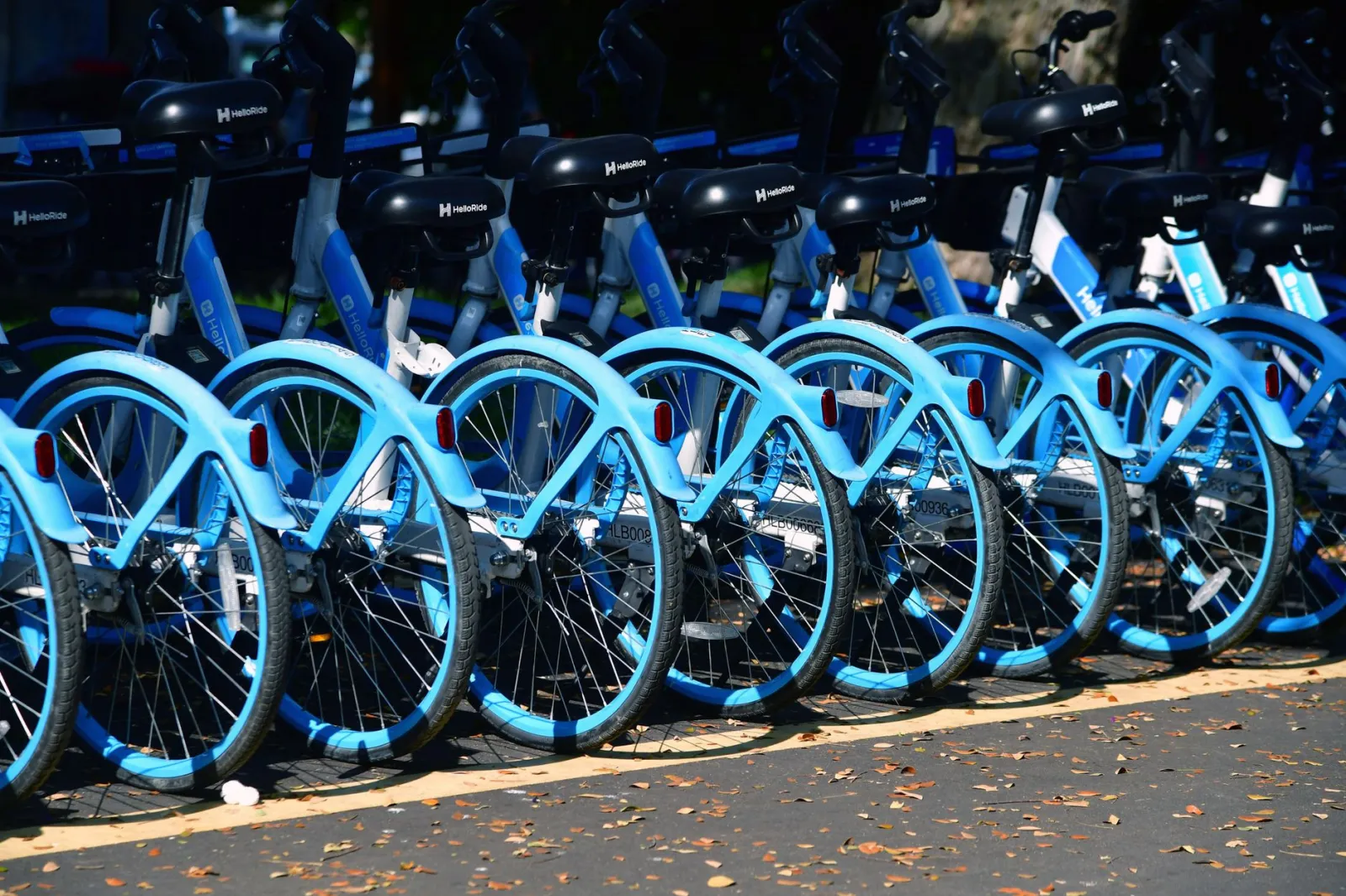 Line of blue rental bicycles parked on an urban street, ideal for city travel.